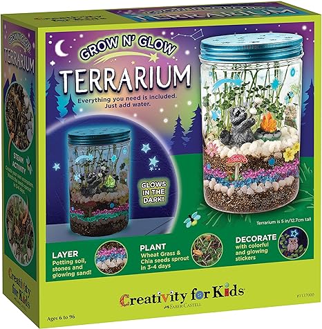 Grow N Glow Mini Terrarium Kit